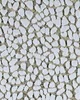 Covington Jelly Beanz 126 Alabaster